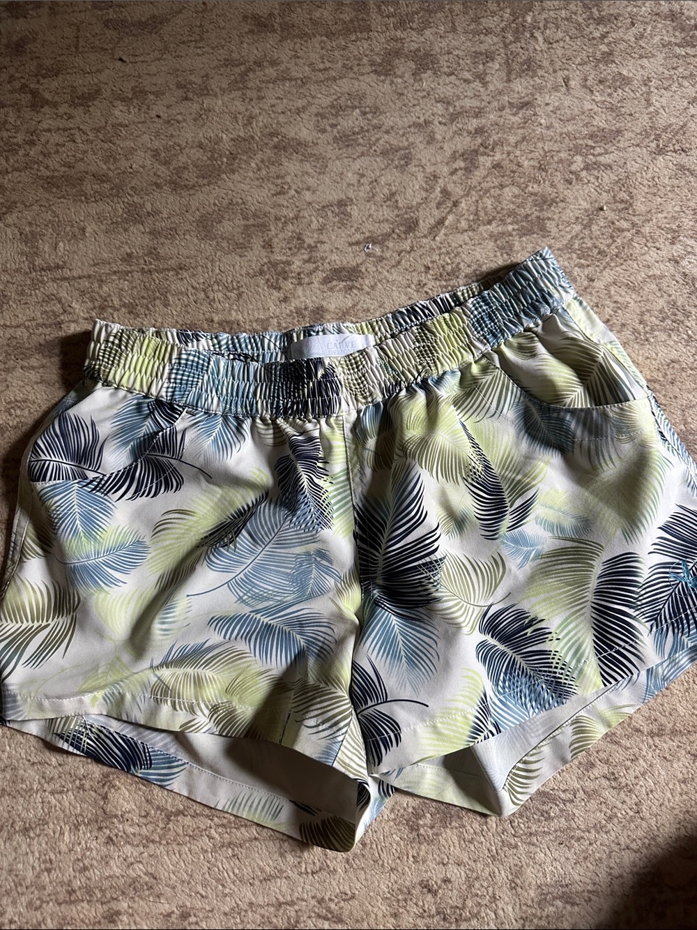 Carve Designs Women’s Large Tropical Palm Leaf Pull-On Shorts Pockets